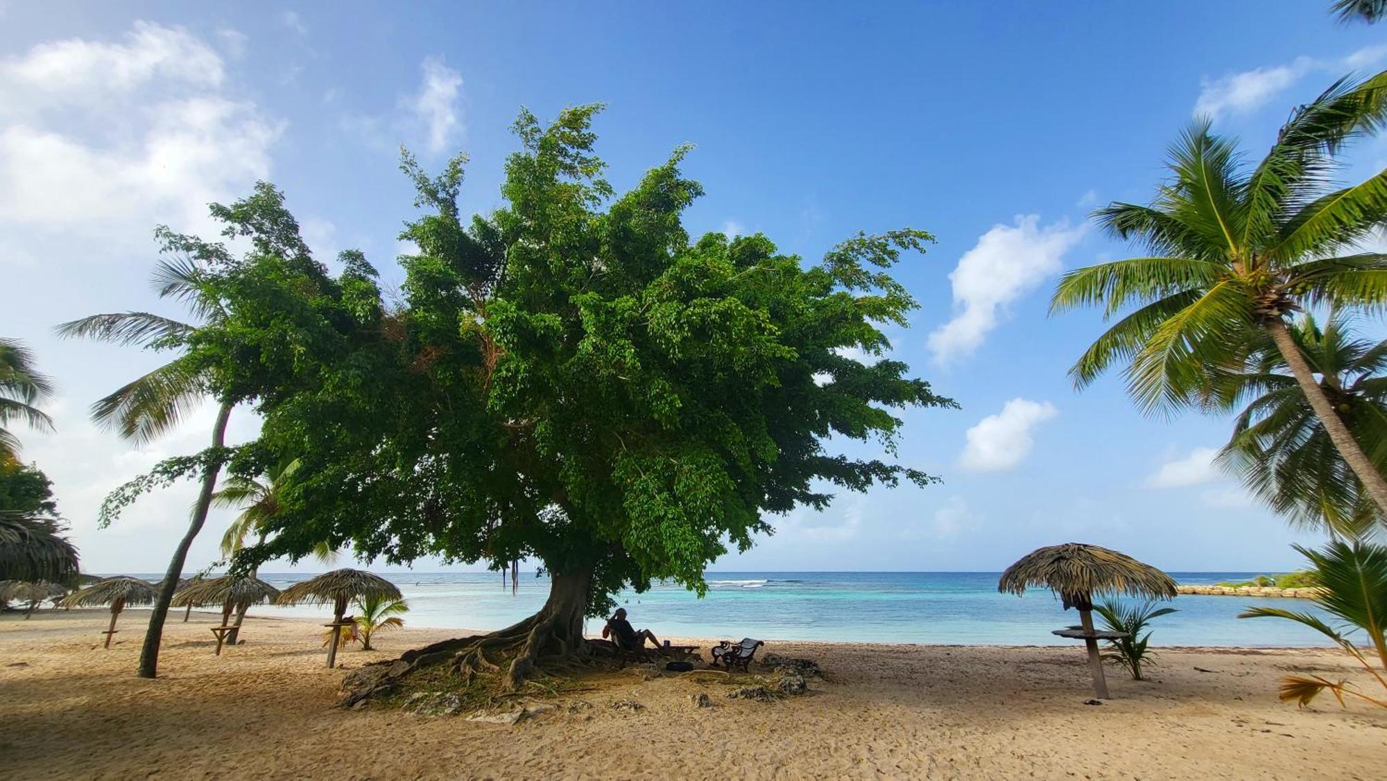 Kaz Lorike - Vue Mer & Piscine Exceptionnelle - Anse Des Rochers Saint-Francois  Buitenkant foto